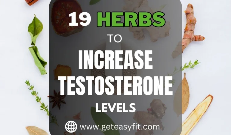 Top 19 Herbs that Naturally increase testosterone levels